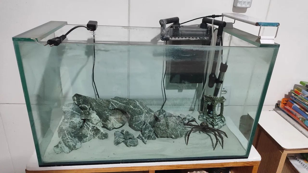 Aquário peixe - Foto 3