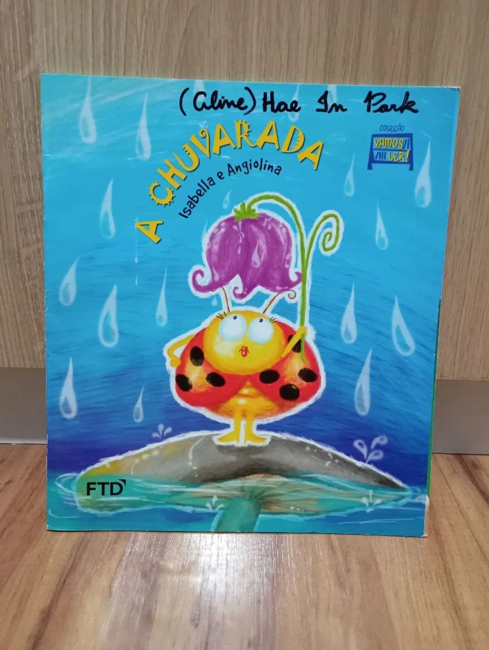Livro de Leitura - "A chuvarada"