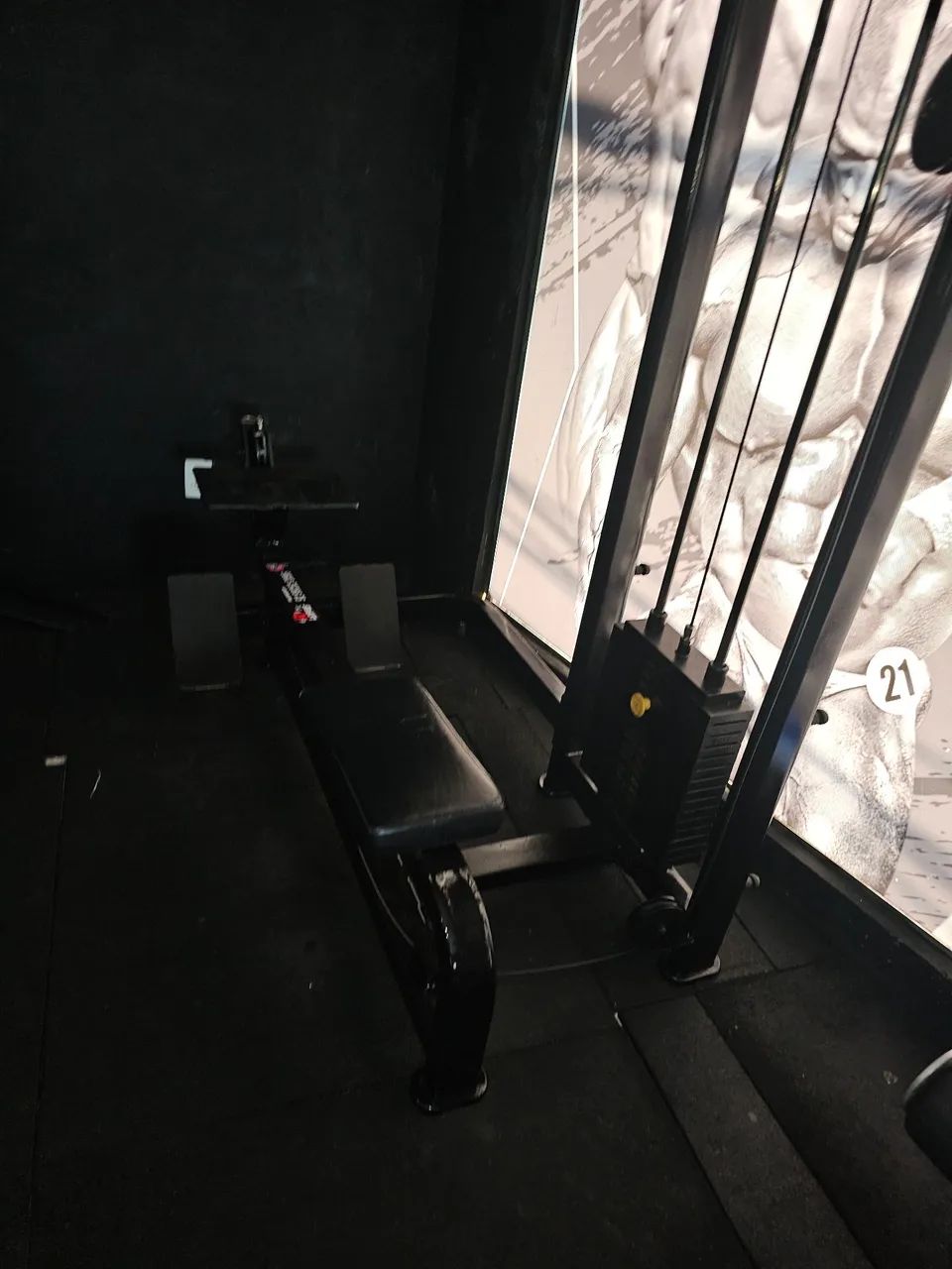 Musculação 