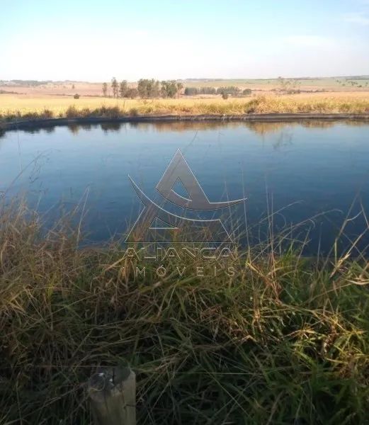 Fazenda - Echaporã - Zona Rural - Foto 2
