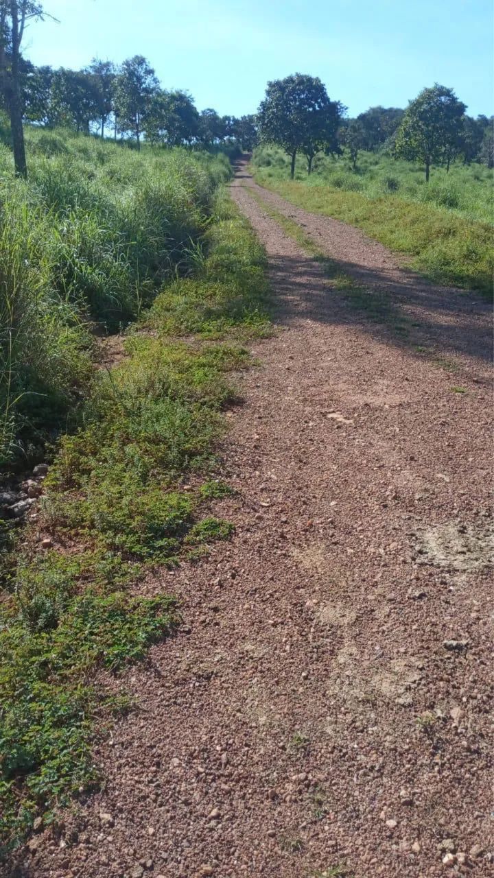 Super oportunidade 23.5 Alq 10 km de Paraíso - Foto 3