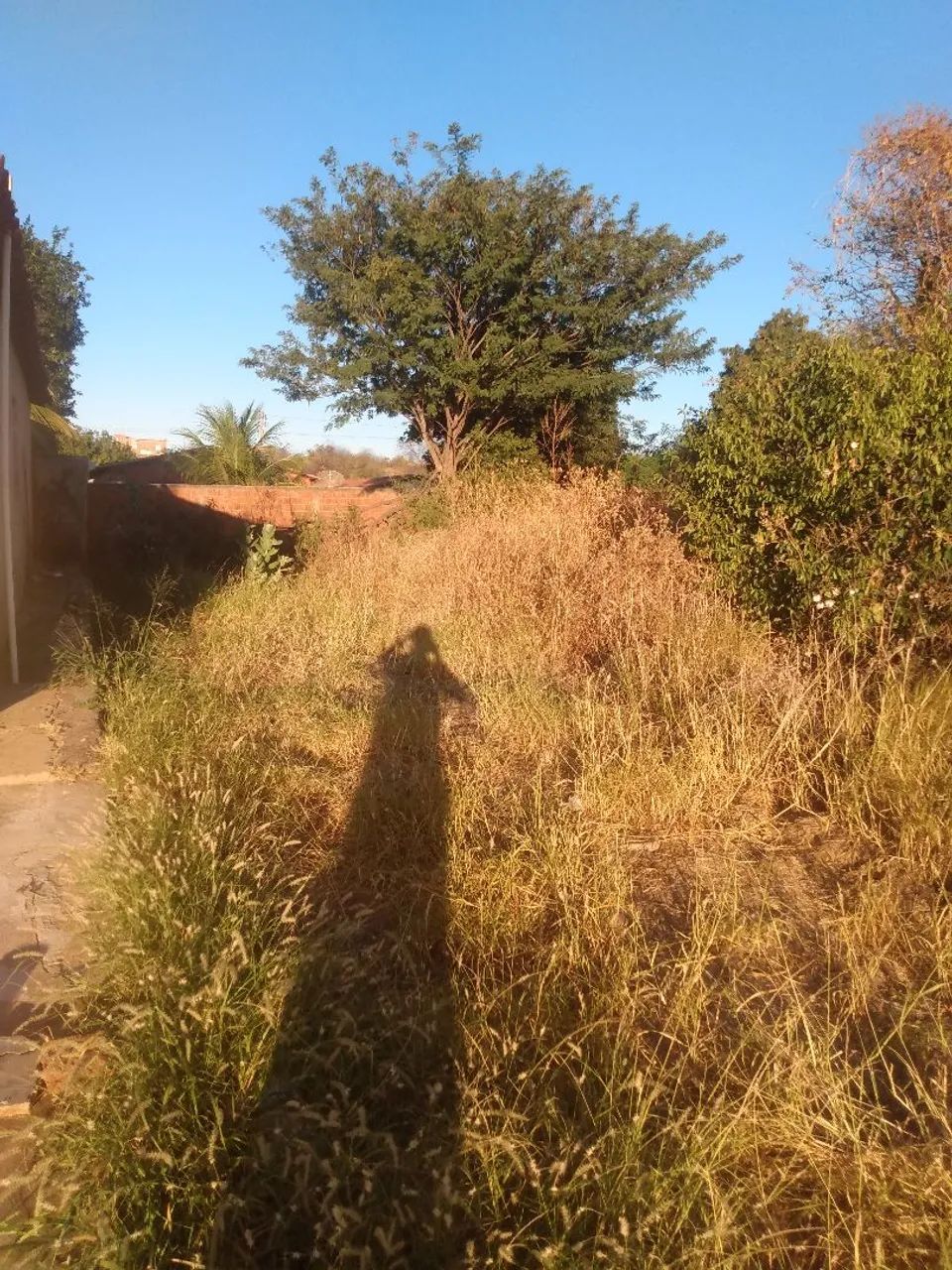 Vendo Terreno de 10x30 ( 300 ) m²