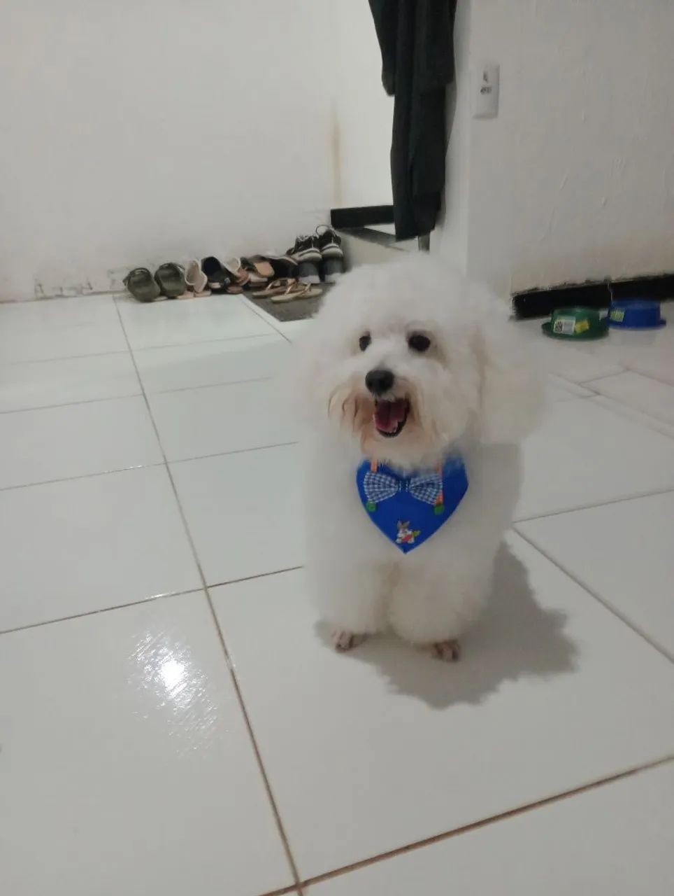 PROCURA-SE UMA NAMORADA  - Foto 2