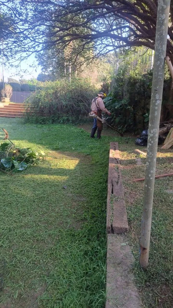 JARDINEIRO PROFISSIONAL - SERVIÇOS DE JARDINAGEM - Foto 4
