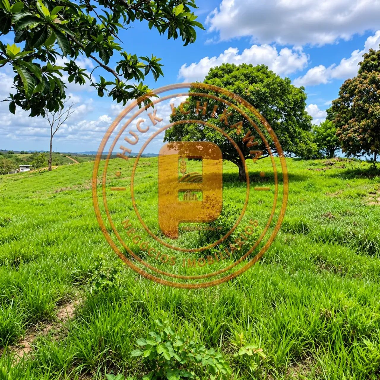 FAZENDA em MARUIM - 60 Tarefas - Foto 2