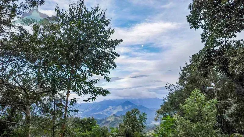 Terreno plano a venda com 20.000 m2 em Campo do Coelho - Nova Friburgo - RJ - Foto 7