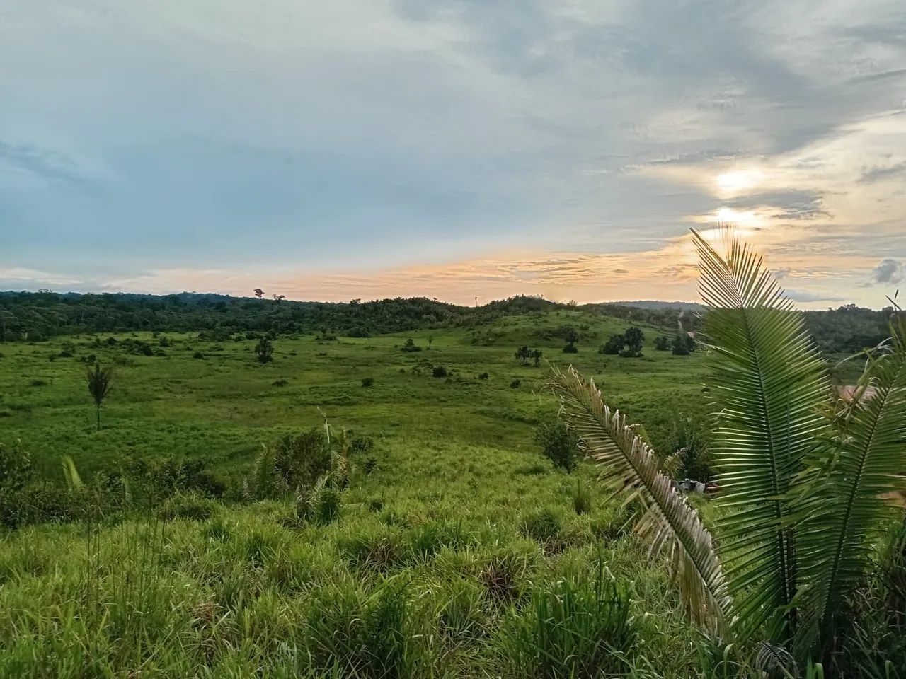 Fazenda no Apuí  - Foto 3