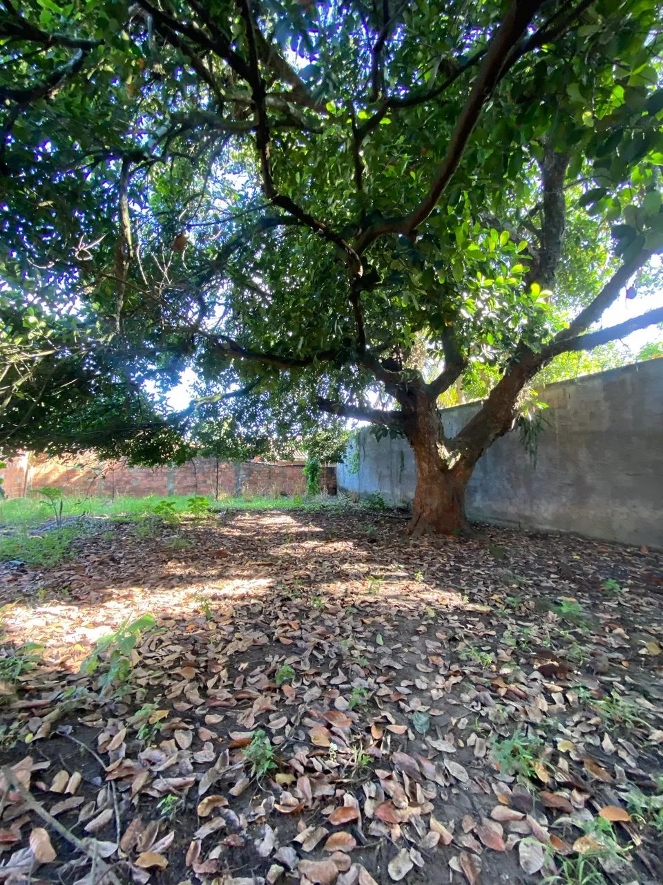 VENDE-SE TERRENO EM PEDRA BRANCA - Foto 4