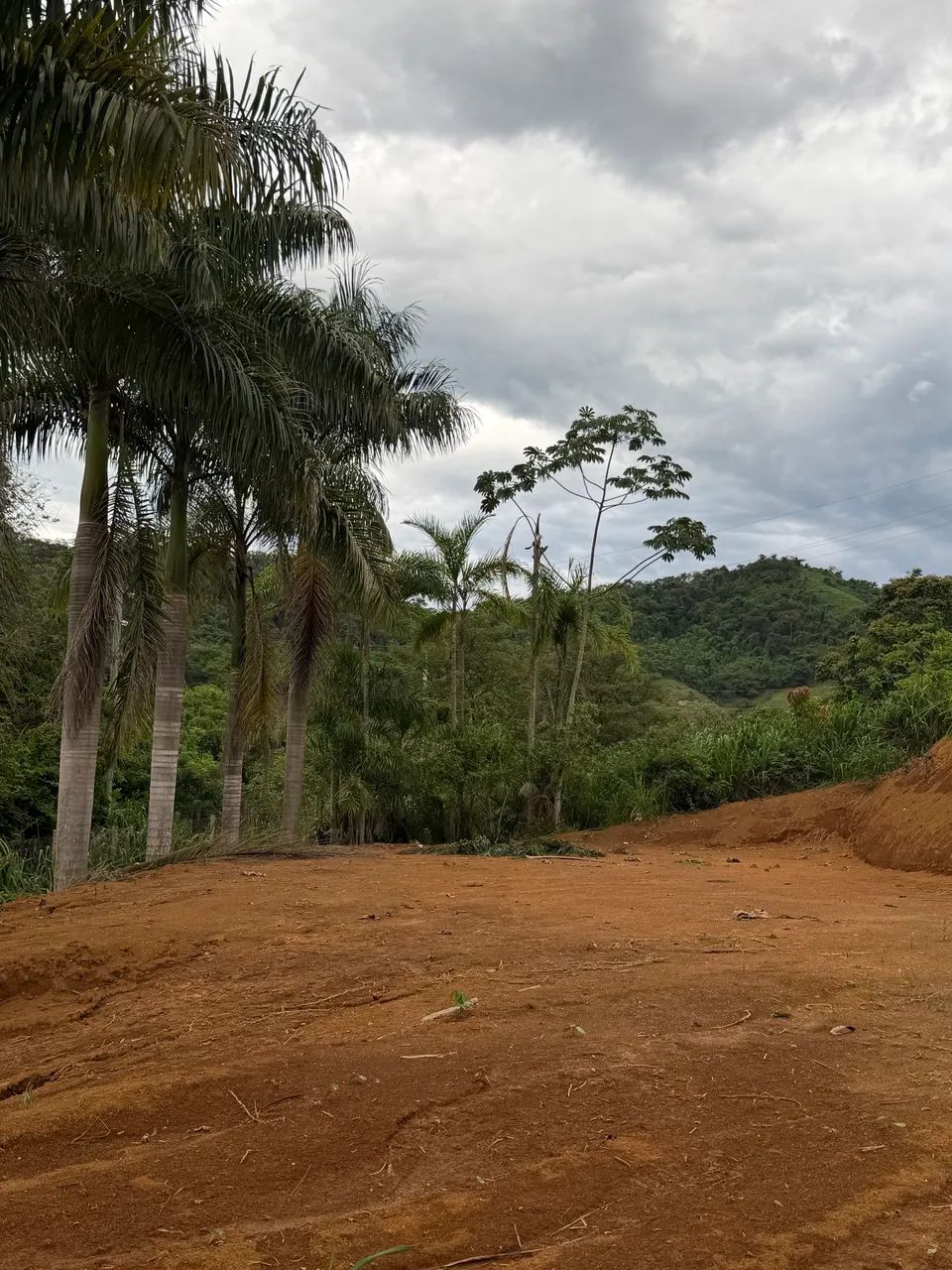 Vende-se chácara no Lavrinha/Quilombo