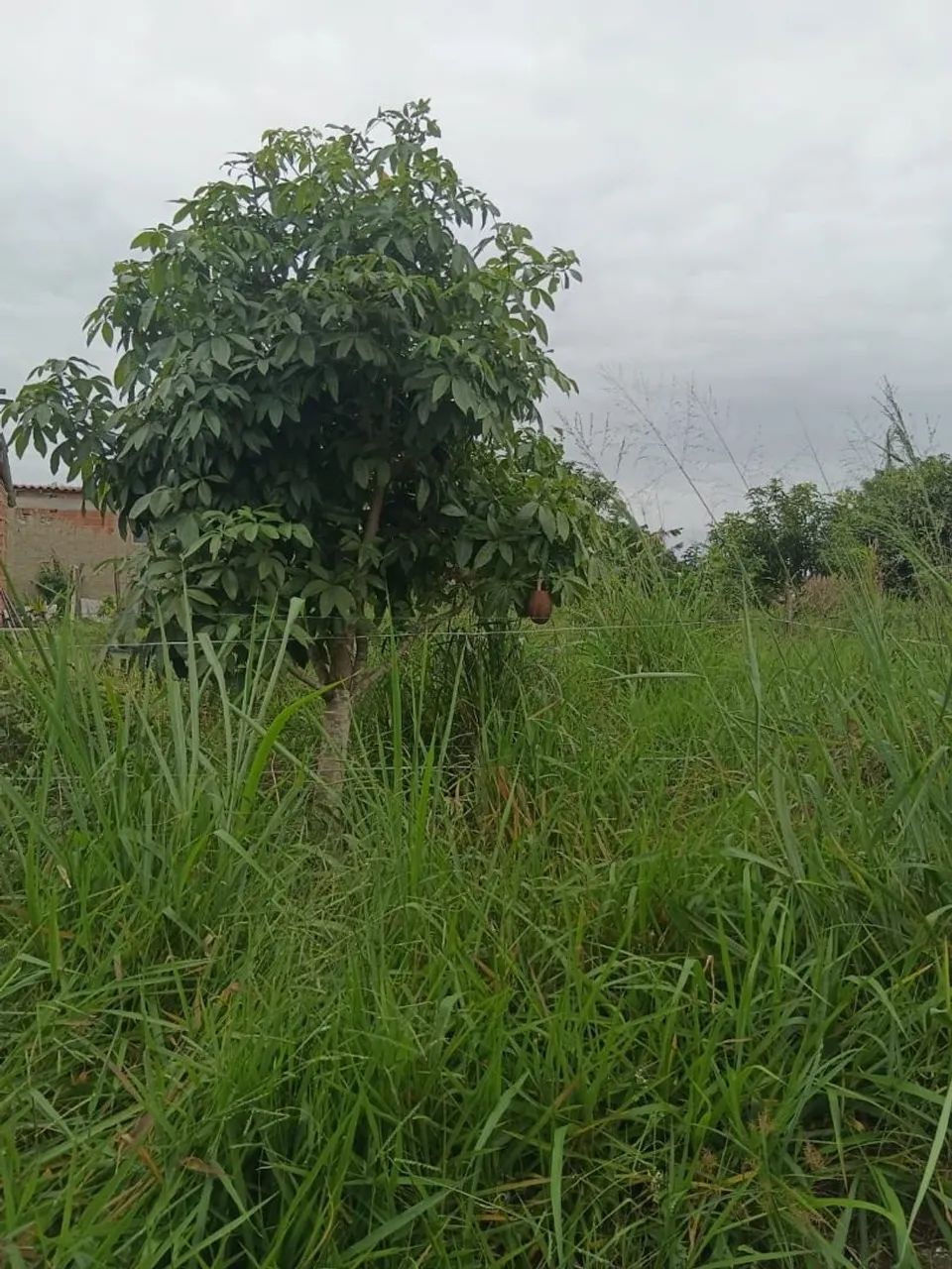 Terreno bem localizado ,aceito  moto com parte de pagamento resto a combinar  - Foto 3