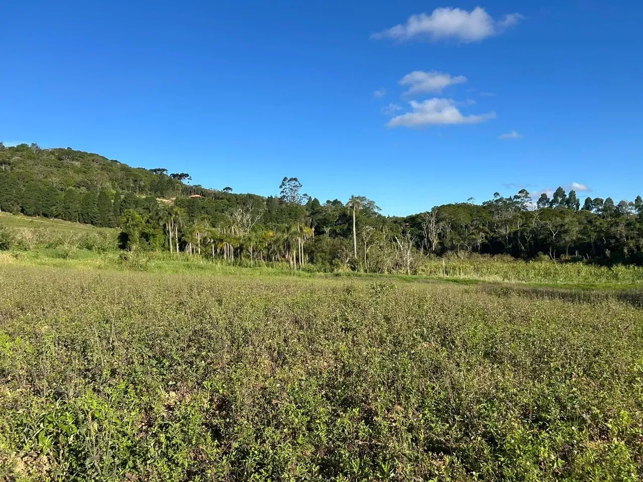 COTIA TE ESPERA: 500m² COM NEGOCIAÇÃO ESPECIAL! - Foto 5