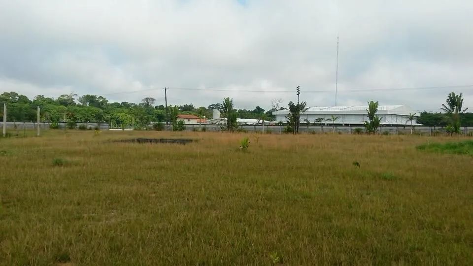 //Alugo Terreno com Galpão na BR 174 - Foto 5
