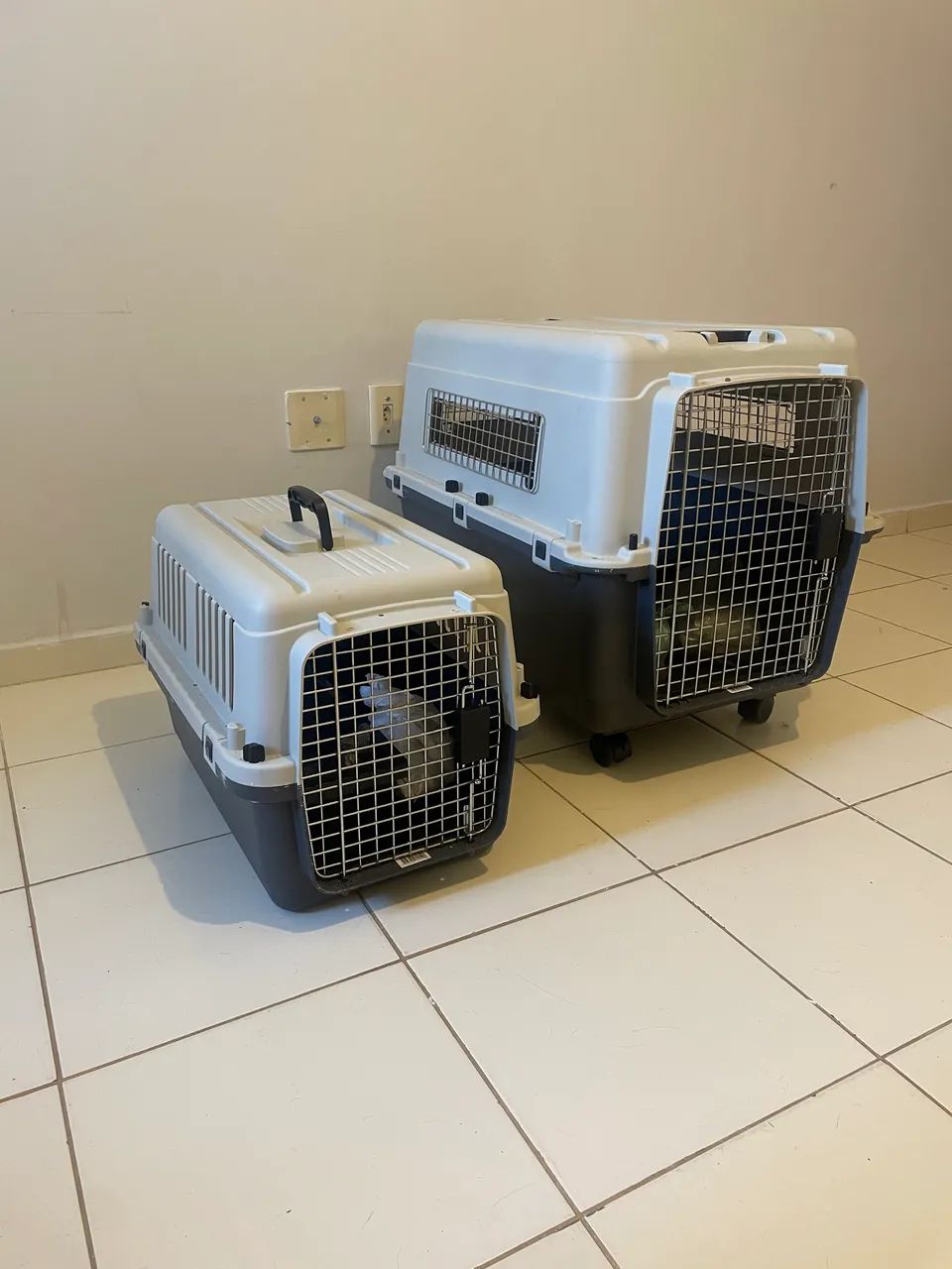 Duas Caixas transporte pet -Gomoov