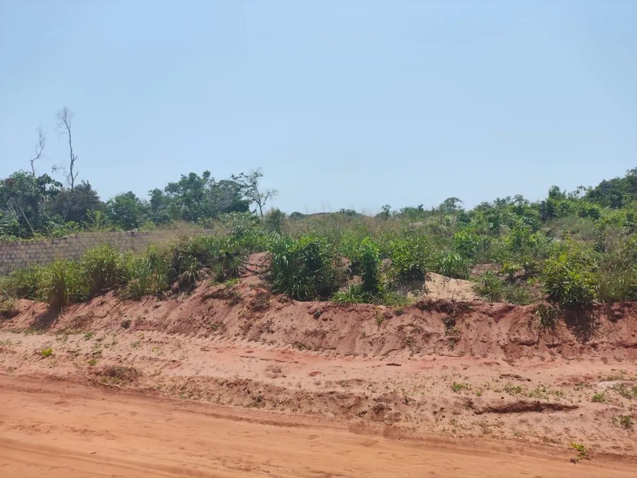 Foto - Santarém - Floresta