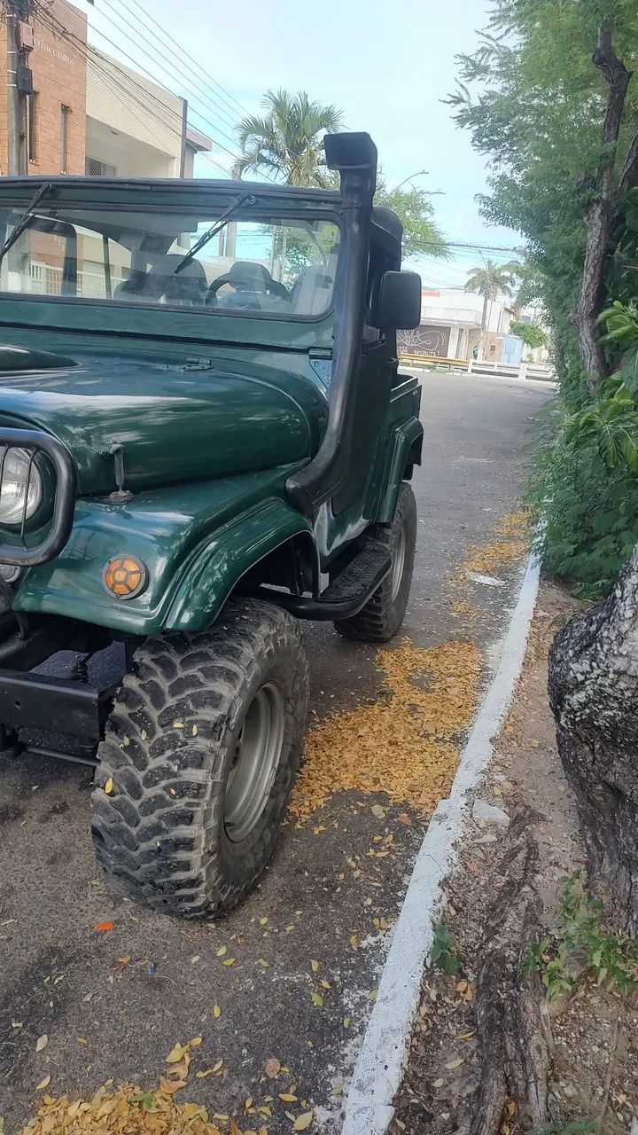 Ford Jeep Jeep 1974 - Foto 2