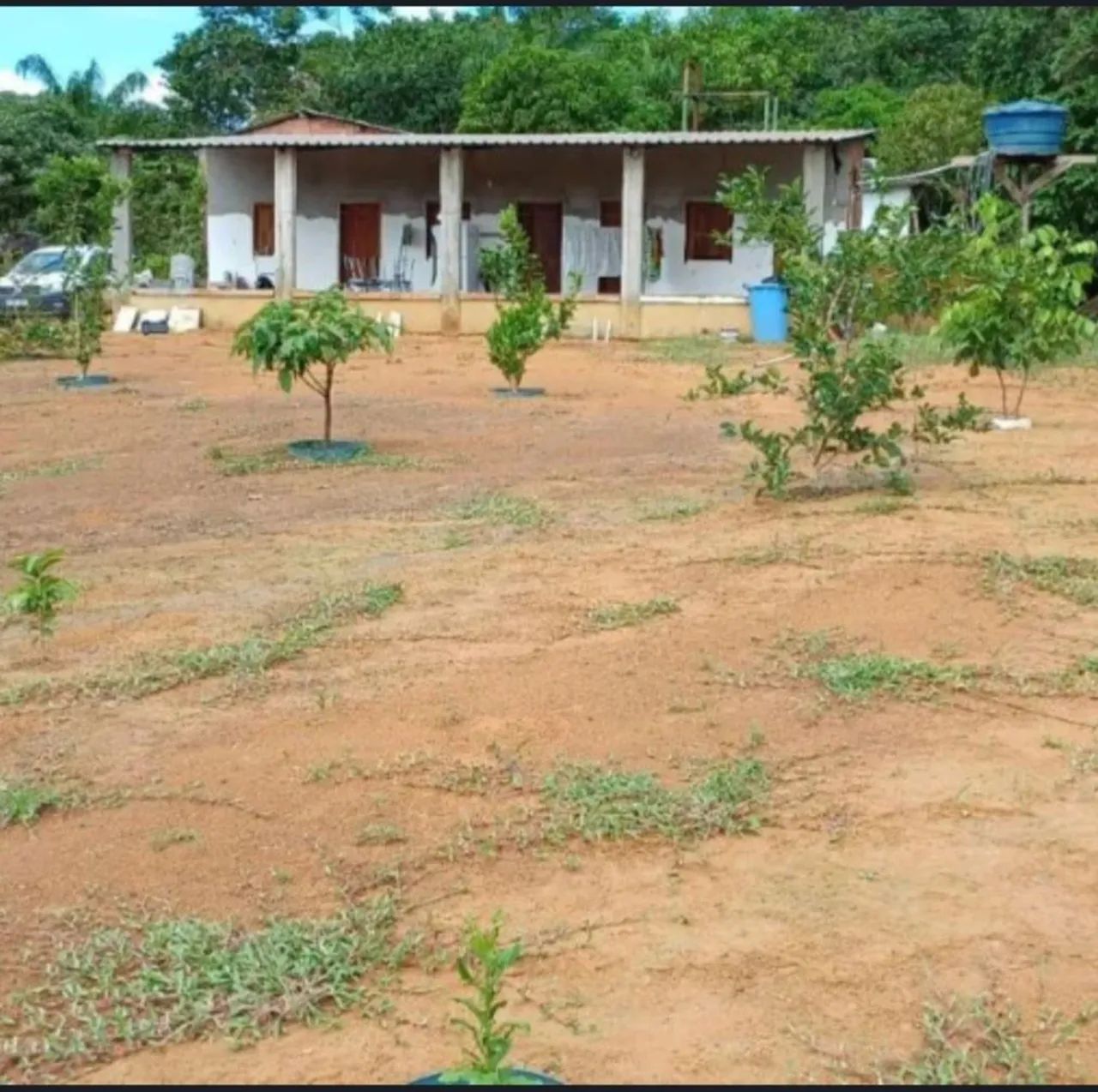SÍTIO NO RAMAL JANAUARI 