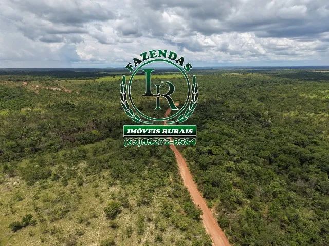 Fazenda Dupla Aptidão Bruta de 40 Alqueires  Tocantins - Foto 5