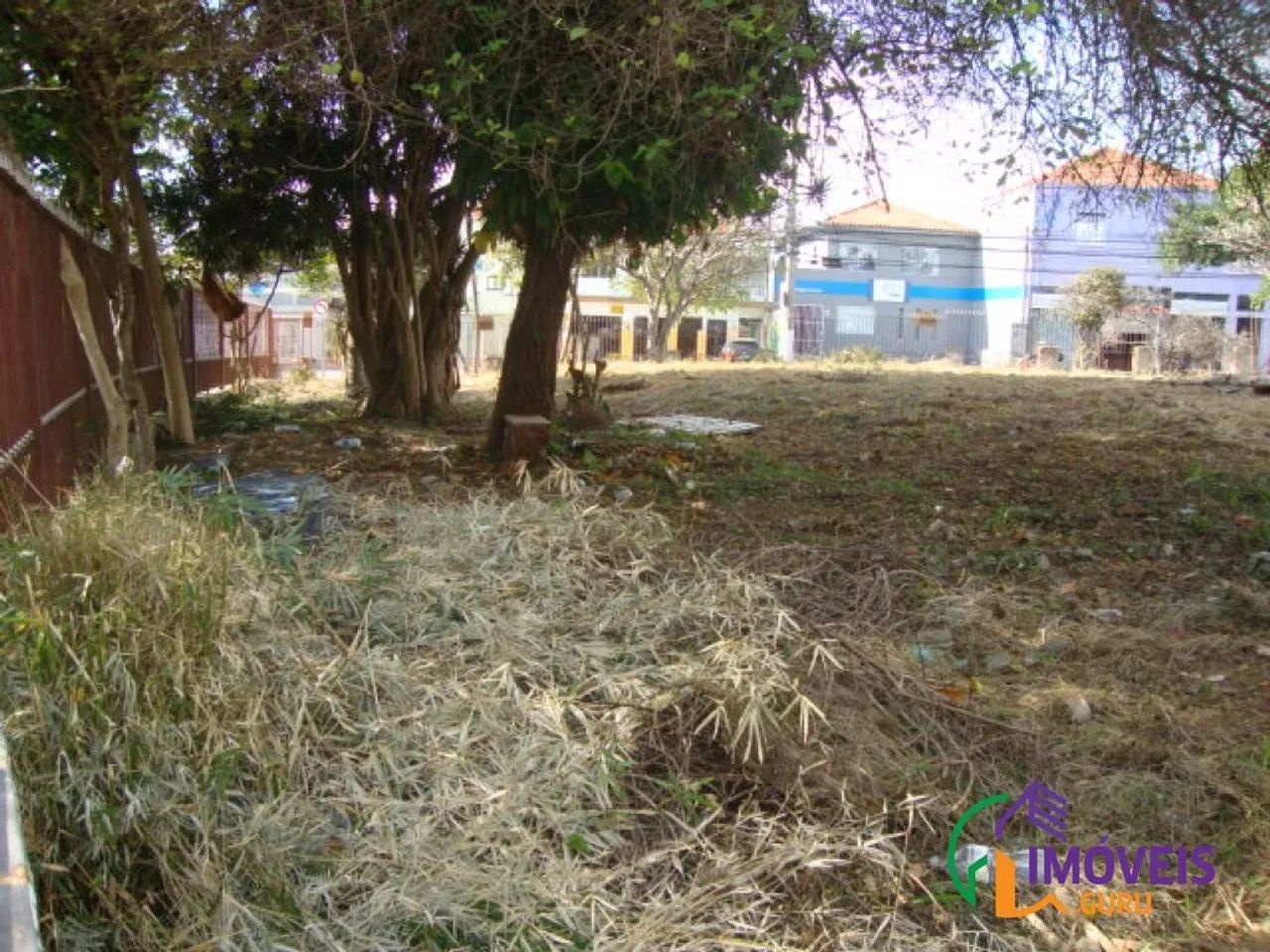 TERRENO - ALTO DA LAPA - SP - Foto 4