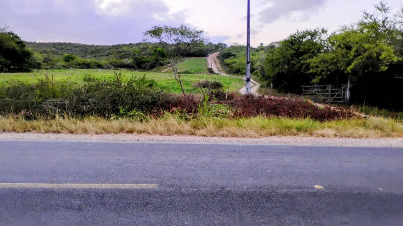 Terreno com 32 tarefas  - Foto 4