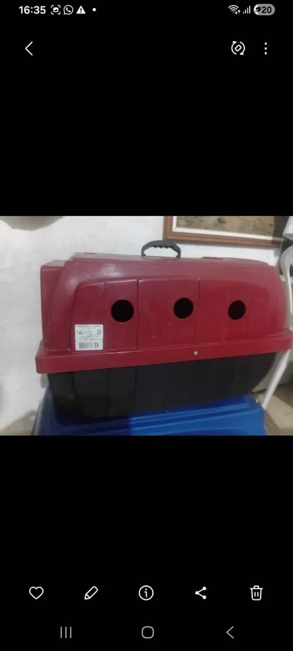 Transporte pra cachorro 