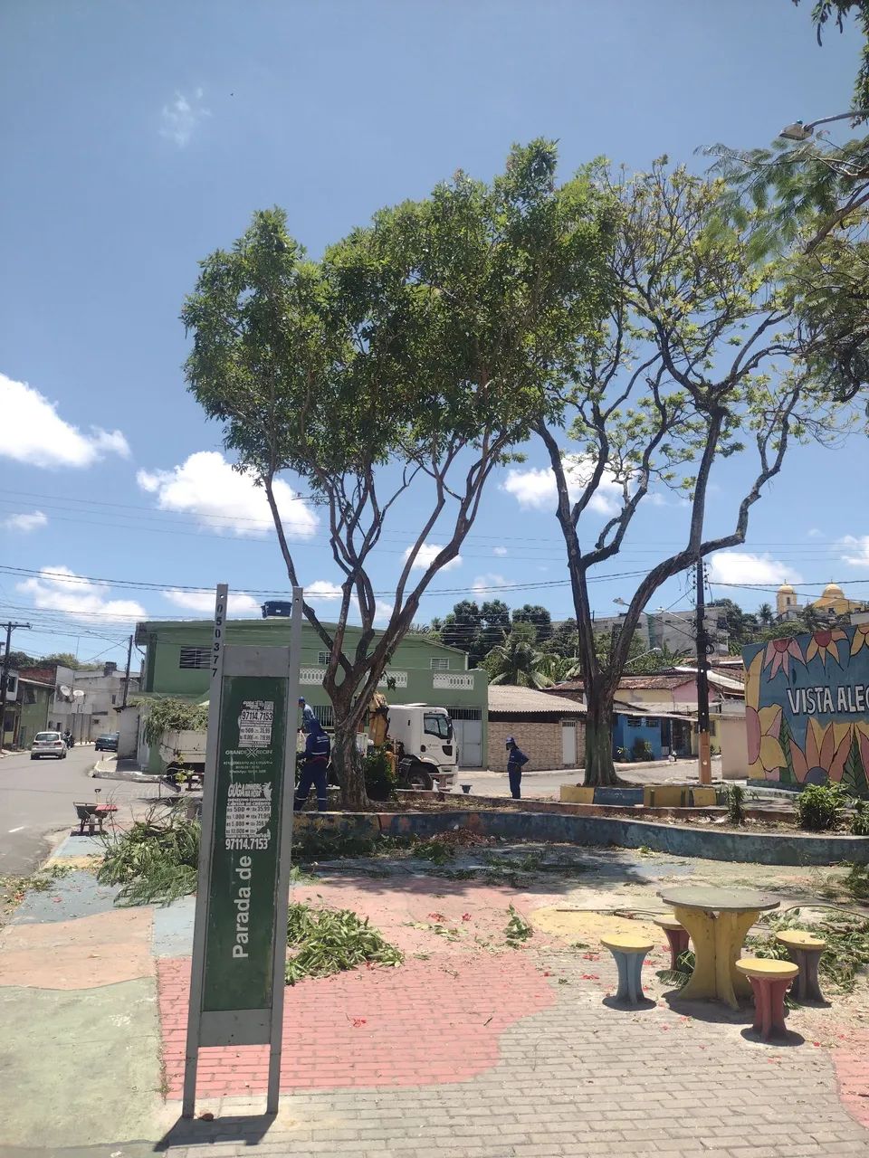 Podacão de árvore  - Foto 2