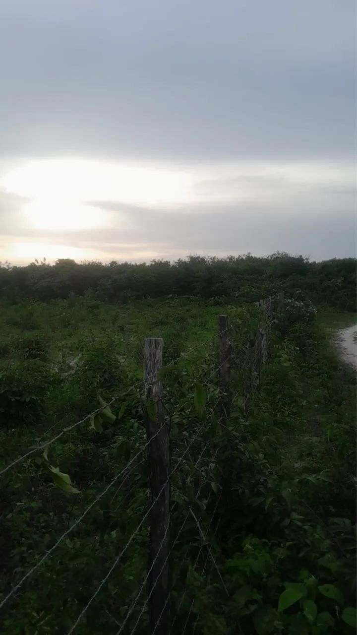 Terreno na Paraipaba - Foto 3