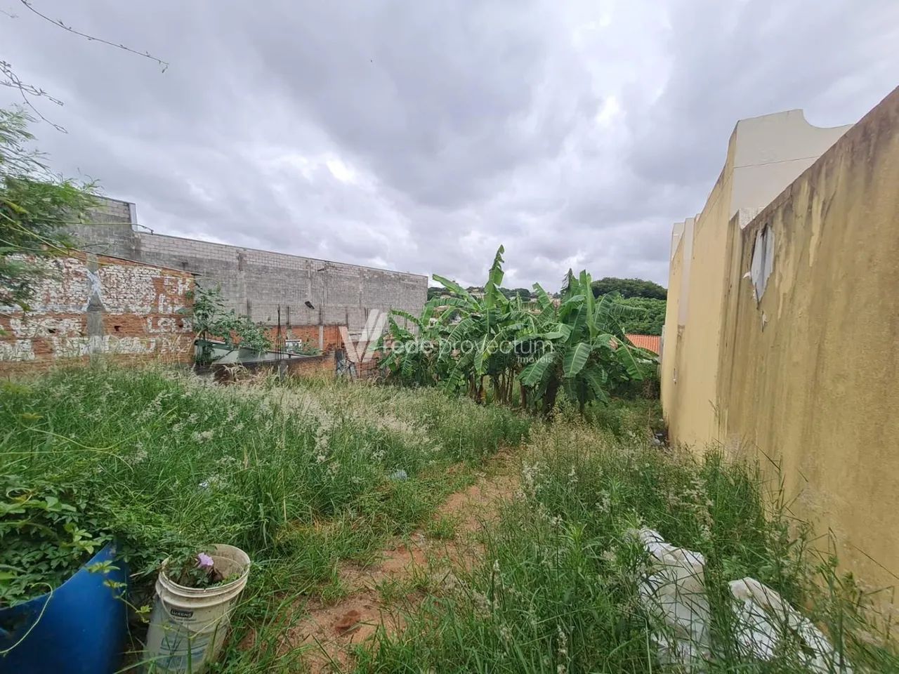 terreno - Parque São Quirino - Campinas