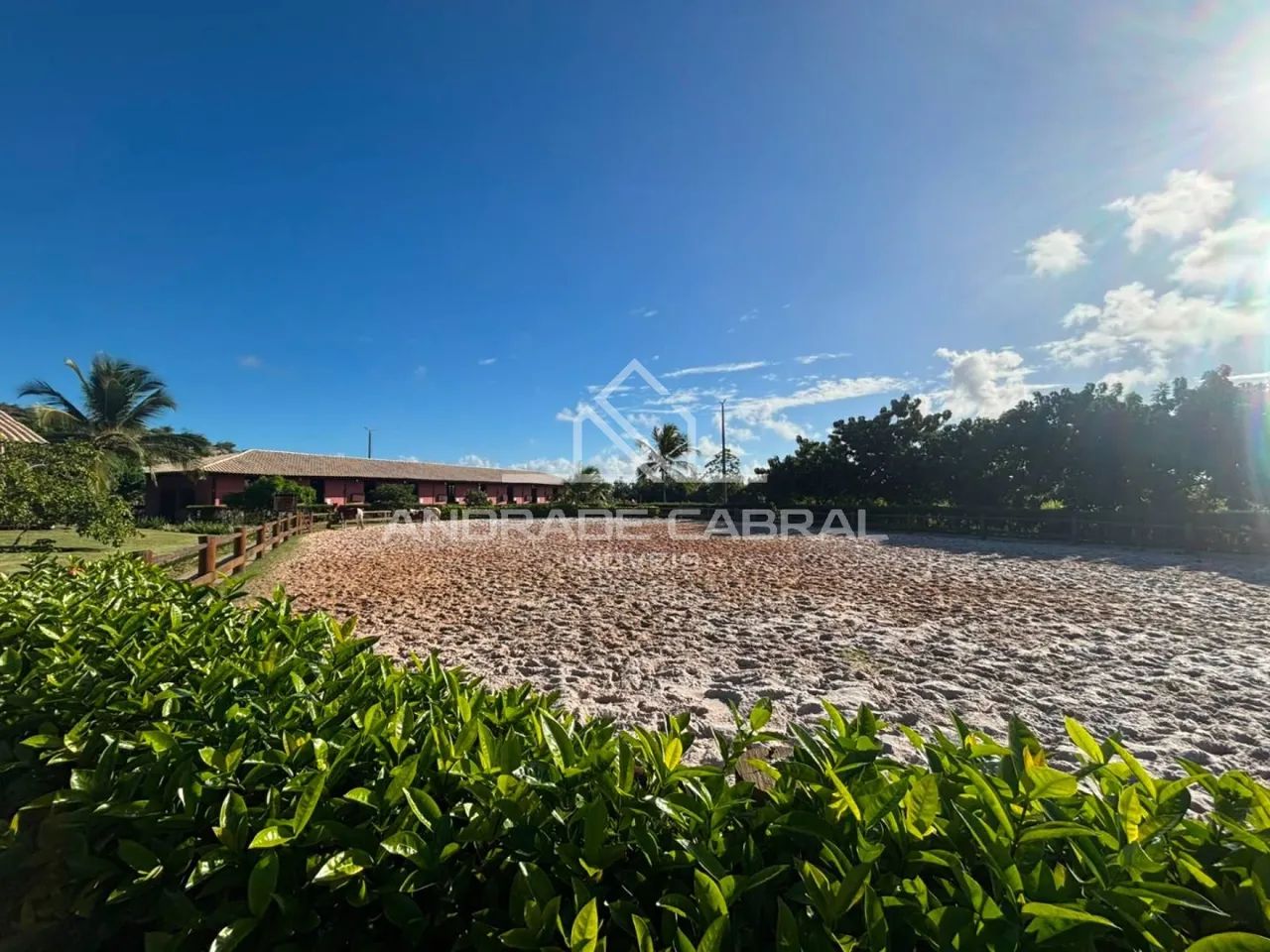 LOTE - FAZENDA REAL DOIS - Foto 4