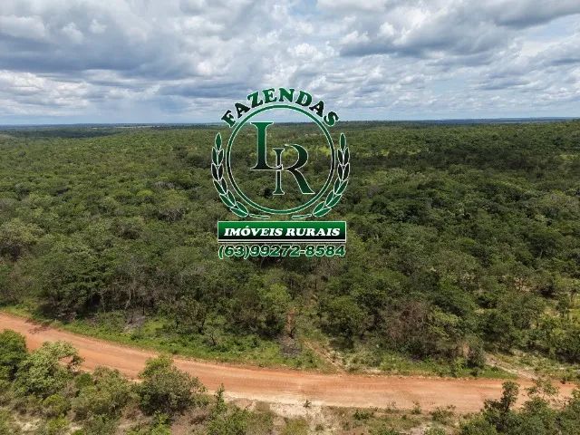 Fazenda Dupla Aptidão Bruta de 40 Alqueires  Tocantins - Foto 2