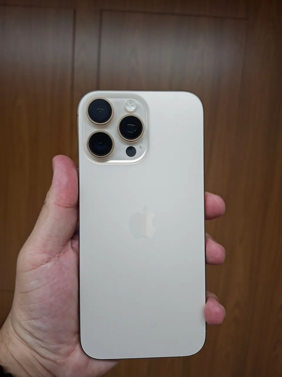 iPhone 16 Pro Max de 256 GB