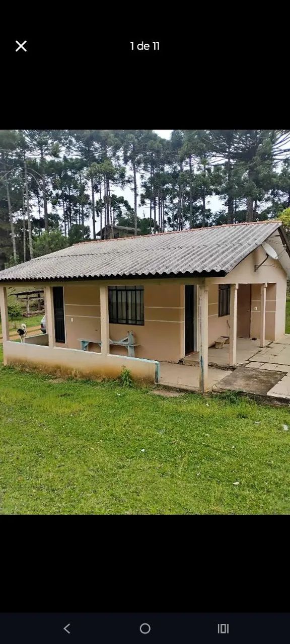 Foto - Campo Largo - Centro