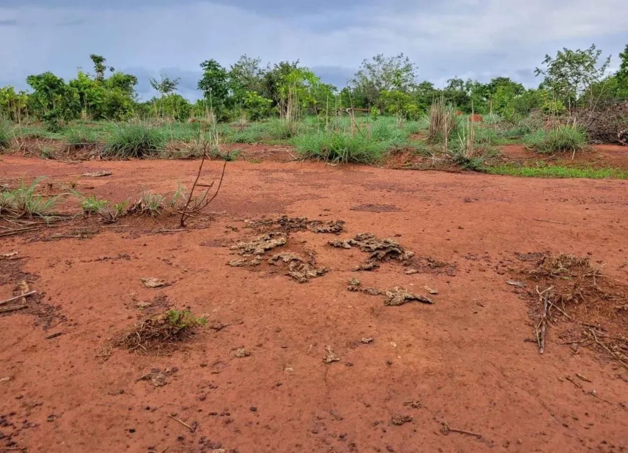 Fazendaa venda no Vale do Araguaia - Foto 4