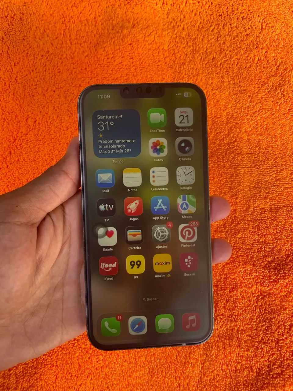 iPhone 13 pro max 
