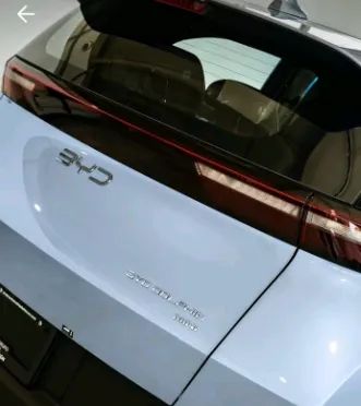 BYD Dolphin Mini (Elétrico) 2027 - Foto 5