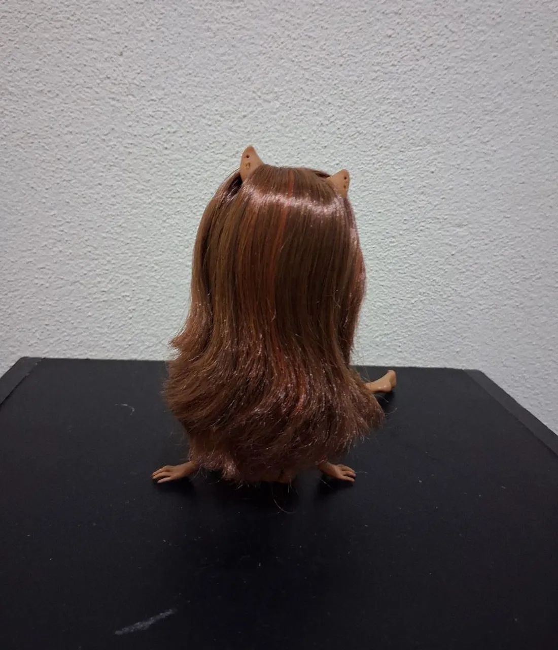 Sucata Clawdeen Wolf básica Wave 2 - Foto 4