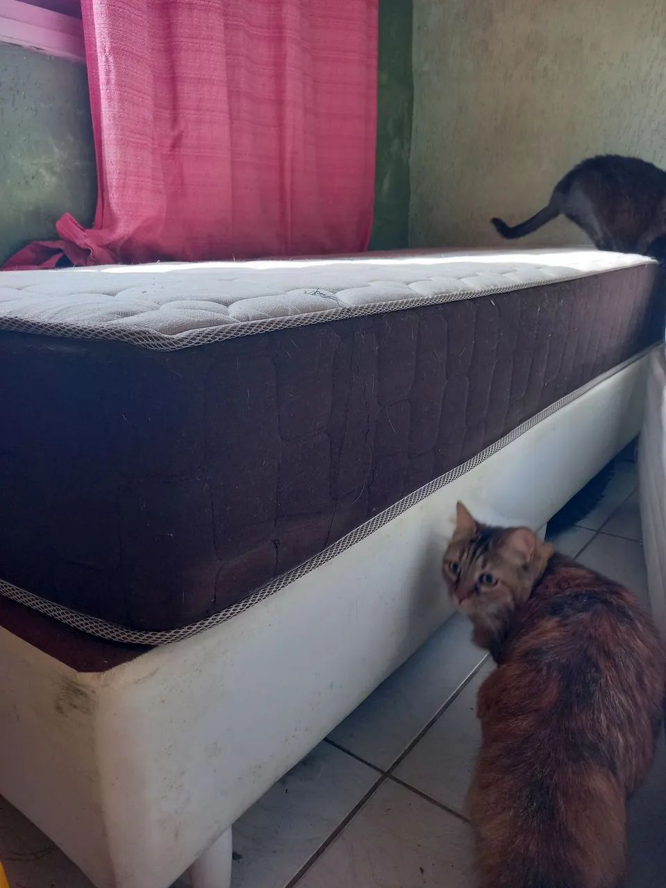 Cama solteiro OrtoBom  - Foto 3