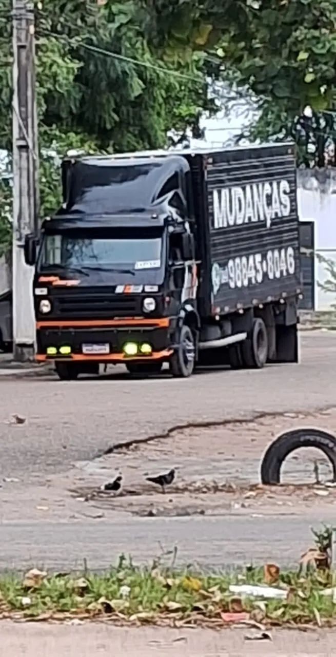 Fretes e Mudanças - * - Foto 4
