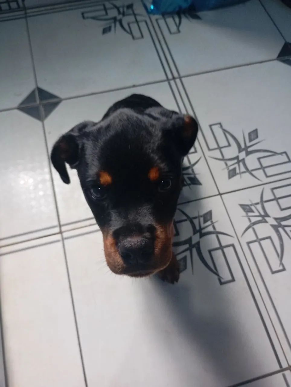Tou vendo a esse preço por quê vou embora e tenho que vender ele rapidinho antes de ir. - Foto 4