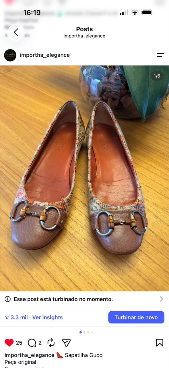 Sapatilha Gucci 36