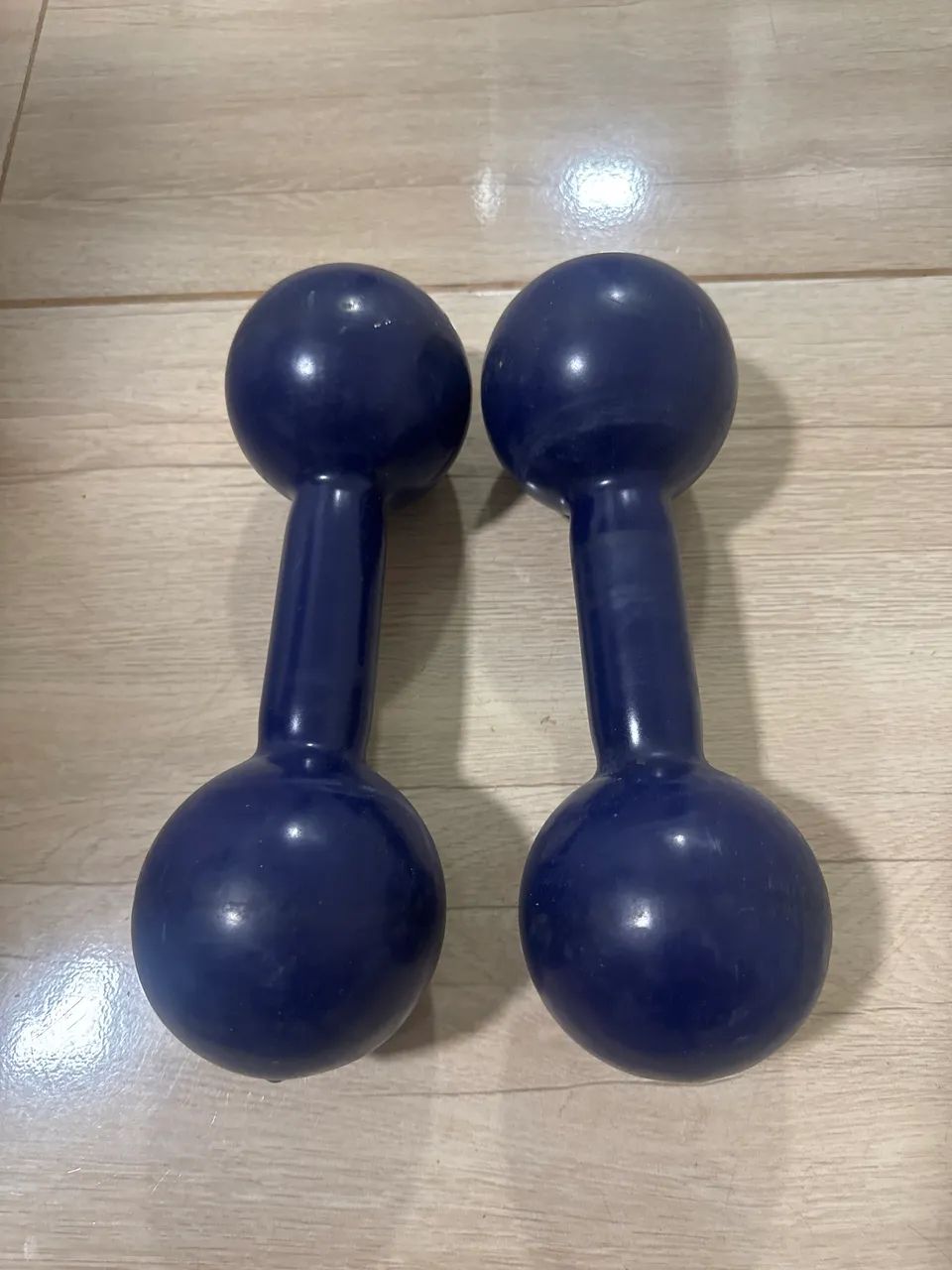 Halteres 