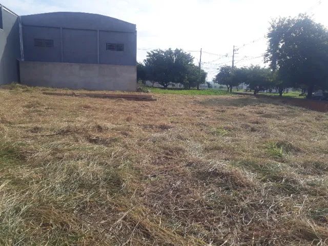 Roçadas e jardins - Foto 2