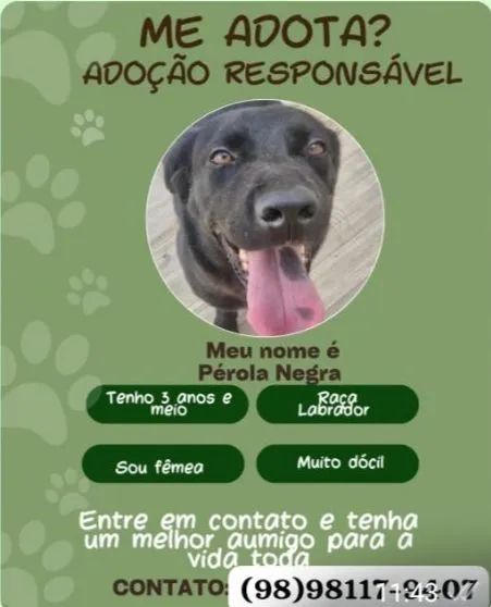 Adoção responsável 