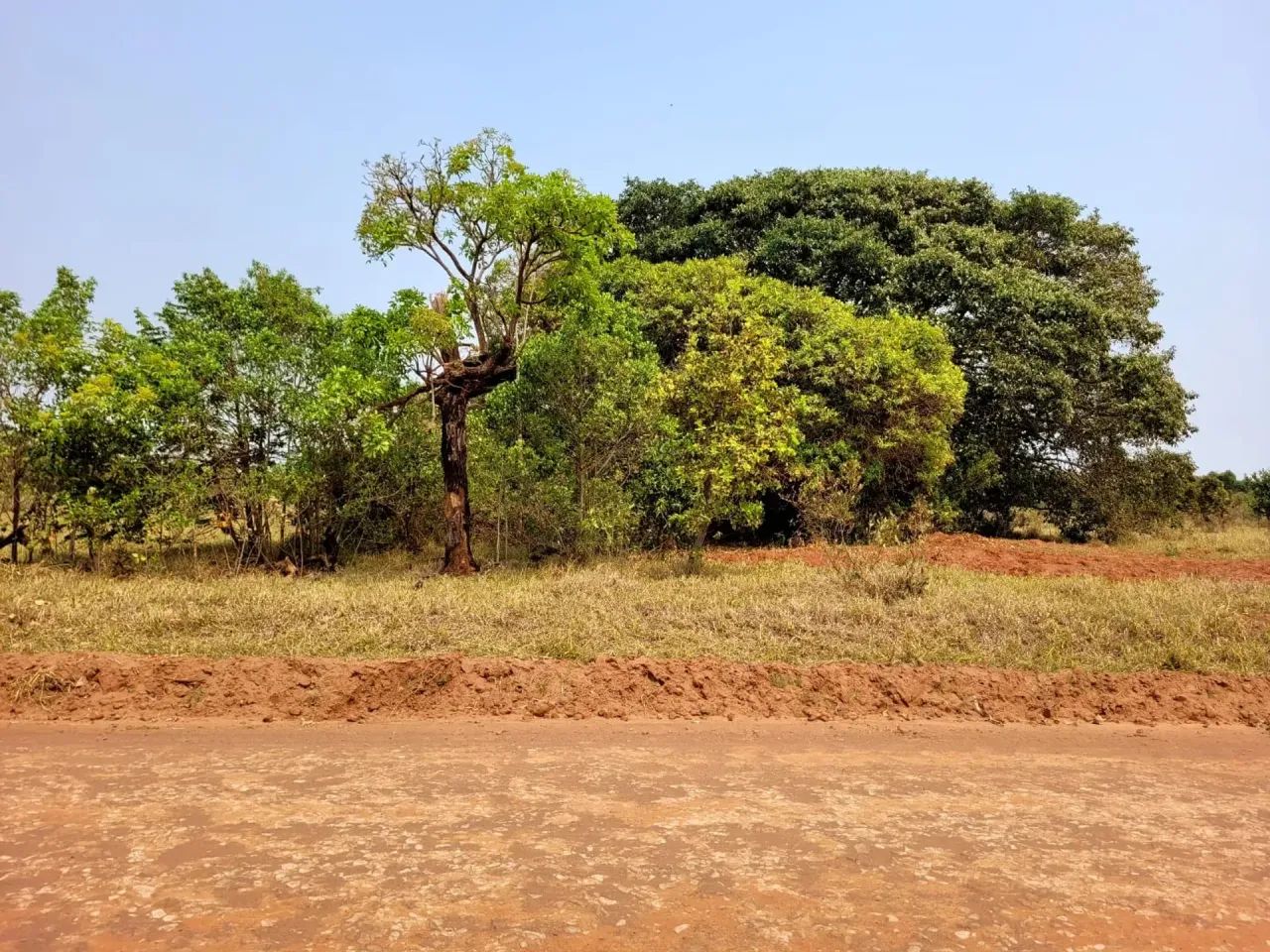 Terreno em Sidrolandia/MS - Foto 4