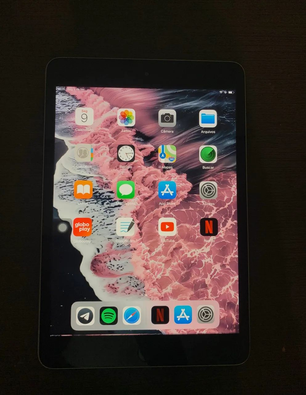 iPad mini 3 