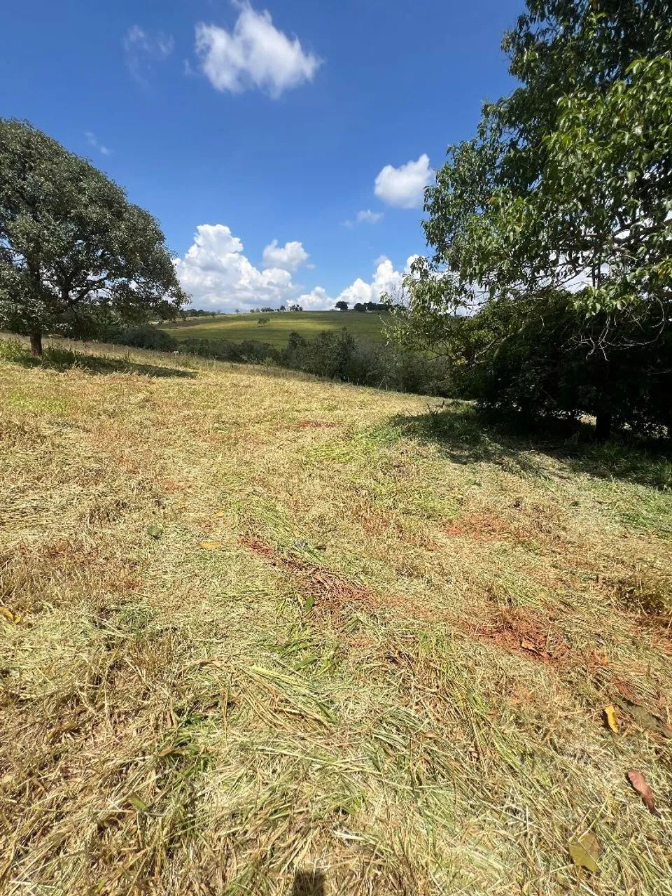 Fazendinhas em para de minas  - Foto 2