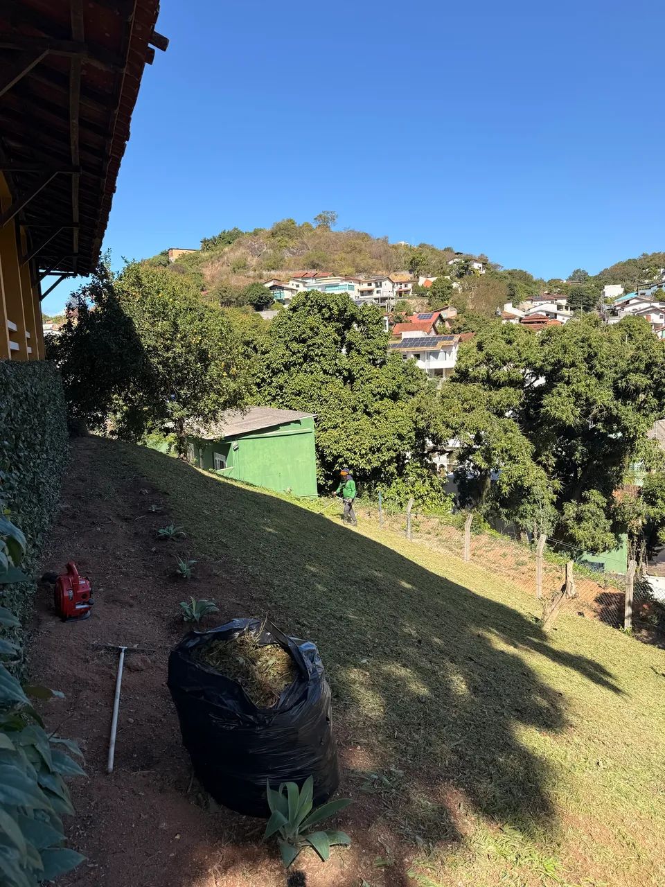 Serviços de Jardinagem  - Foto 3