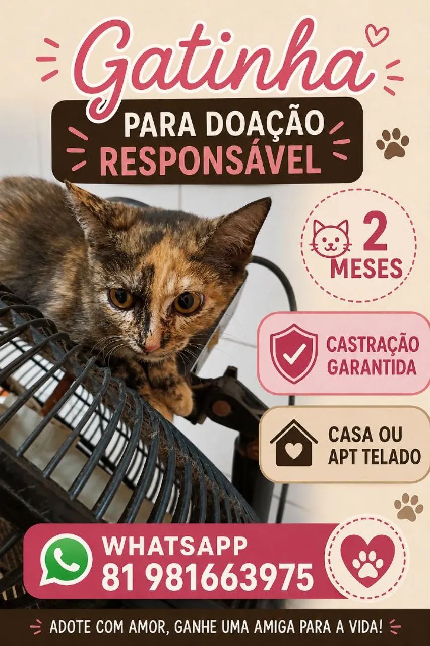 Gata