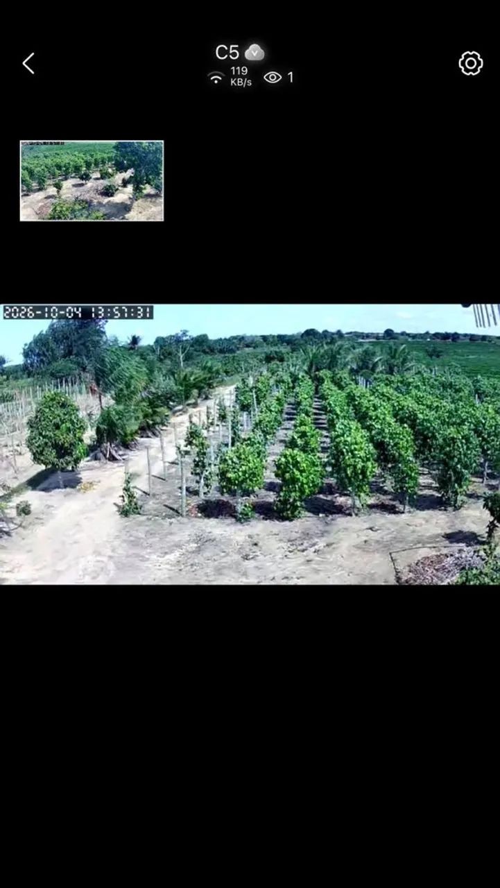 Chácara a venda - Foto 2