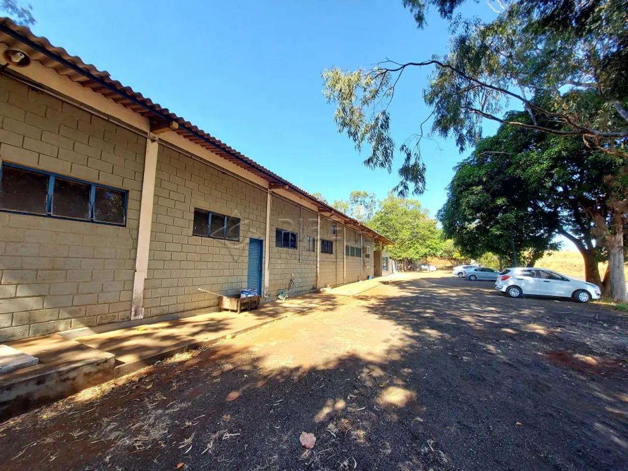 Comercial Galpão em Ribeirão Preto - Foto 4