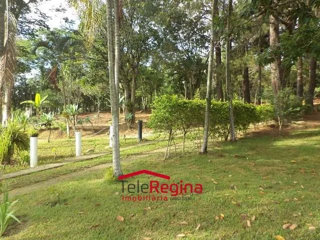 CHACARA EM CAÇAPAVA - SP - CAÇAPAVA VELHA - Foto 3